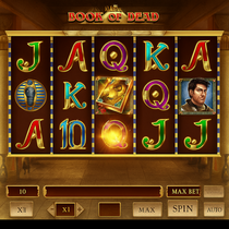 Rakoo - Book of Dead Slot Game - Play'n GO